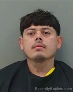 Mugshot of EDGARDO DIAZ
