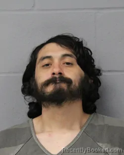 Mugshot of RENE FLORES