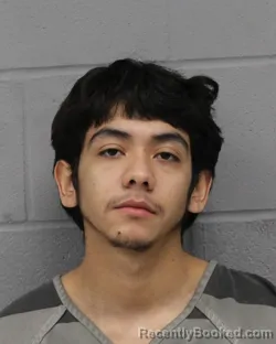 Mugshot of RUBEN PALMA