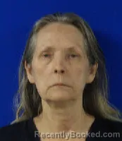 Mugshot of LAURA HAPTONSTALL WAGES