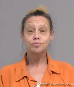 Mugshot of DANA RENEE ANDERSON