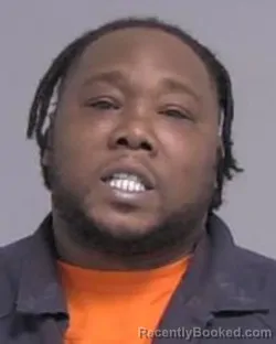 Mugshot of RONALD LAMONT EVERETT