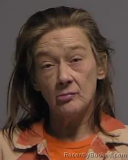Mugshot of SHERYL RANA COOK
