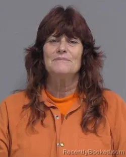 Mugshot of ALISON DENISE MARONEY