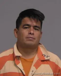 Mugshot of JESUS NAVA SANTIAGO