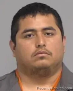 Mugshot of RAUL JACOBO NINO