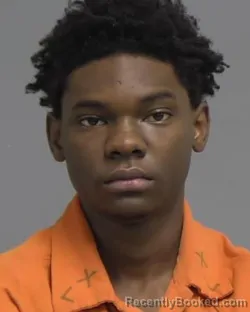 Booking photo from Nassau County, Florida