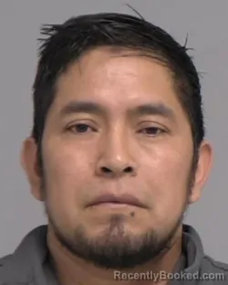 Mugshot of JUAN FELIX