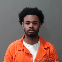 Mugshot of Briyah Devon Hill