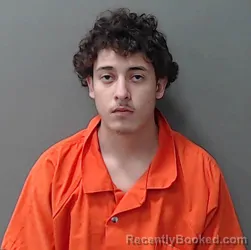 Mugshot of Ian Avelar Neasham