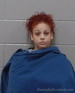 Mugshot of Claudia Velasquez