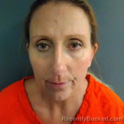 Mugshot of BRIDGETTE MEYER TOLBERT