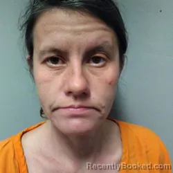 Mugshot of MICHELLE MARIE BREWER