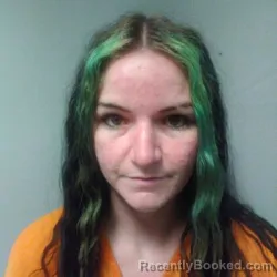 Mugshot of RONNIE LYNN WATTS