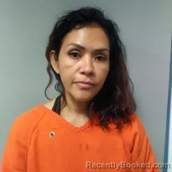 Mugshot of HILDA SARAYTH HERNANDEZ COLINDRES