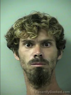 Mugshot of WILLIAM ERIC REED