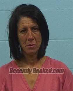 Booking photo from Williamson County, Texas