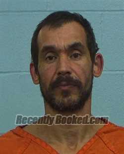 Booking photo from Williamson County, Texas