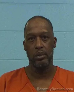 Booking photo from Williamson County, Texas