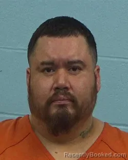 Booking photo from Williamson County, Texas