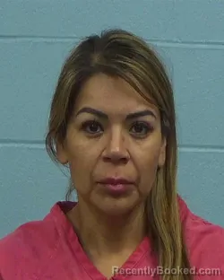 Booking photo from Williamson County, Texas