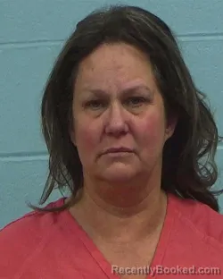 Booking photo from Williamson County, Texas