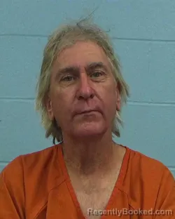 Booking photo from Williamson County, Texas