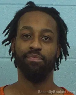 Booking photo from Williamson County, Texas