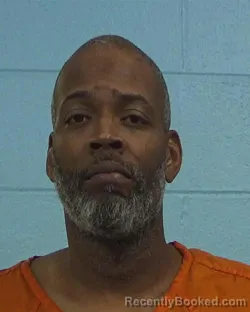 Mugshot of Jamie Lee Hills