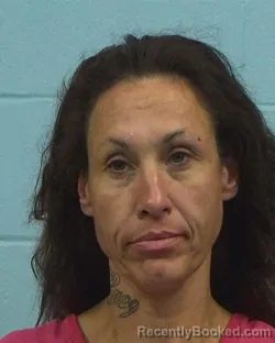 Mugshot of Faith Ann Bean