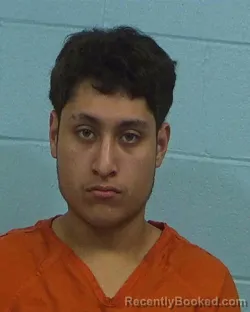 Mugshot of Joe Sebastian Arellano