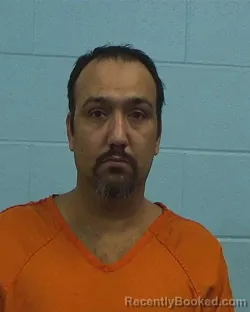 Mugshot of Sina Nematzadeh