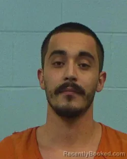 Booking photo from Williamson County, Texas