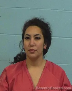 Booking photo from Williamson County, Texas