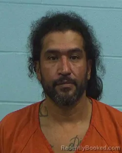 Booking photo from Williamson County, Texas