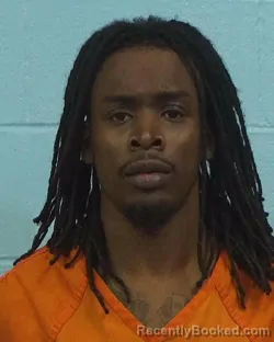 Mugshot of Lee William Joubert