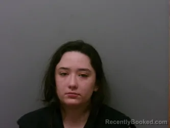 Booking photo from Wise County, Texas