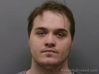 Mugshot of TAYLOR LYNN WILSON