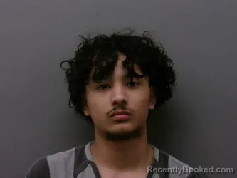 Mugshot of JESUS DAVID PRIETO