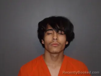 Booking photo from Wood County, Texas