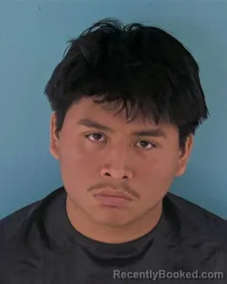 Mugshot of LUIS FRANCISCO AJUCUM