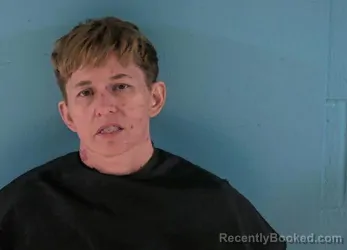 Mugshot of TANYA LEIGH LAW