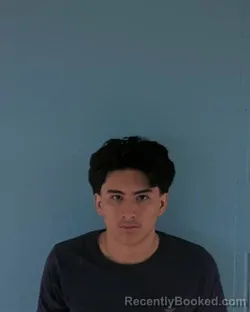 Mugshot of LUIS ANGEL OCHOA GALVAN