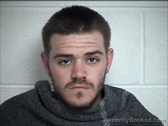 Mugshot of TRENTON WESLEY COLLINS