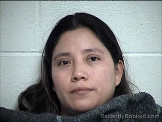 Mugshot of TOMASA VELASQUEZ-ORTIZ
