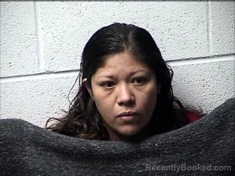 Mugshot of MARIA ARELLANO-MONTECINOS