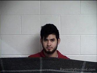 Mugshot of DANILSON MAURICIO HERNADEZ-GARCIA