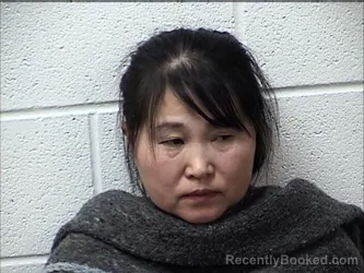 Mugshot of YANXIA ZHANG