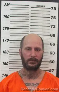 Mugshot of AURTHUR W HALL