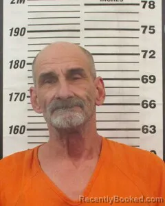 Mugshot of JERRY D WILLIAMS